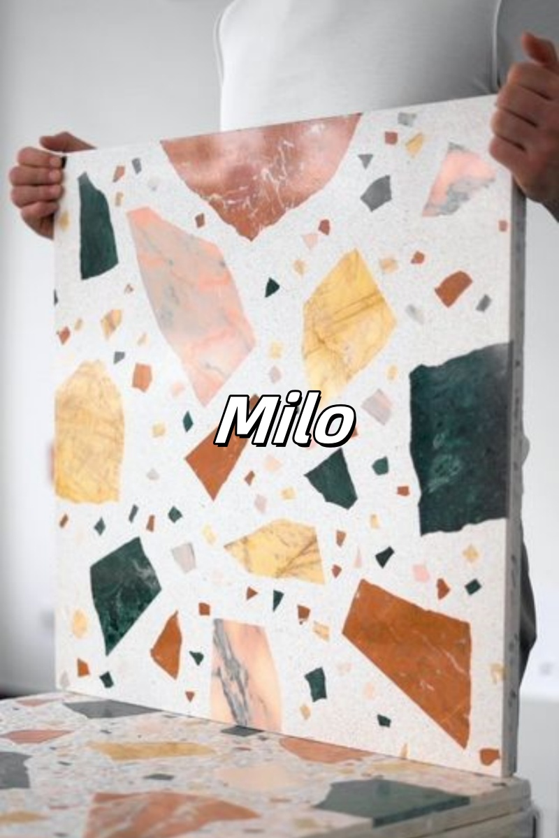 Construction process and maintenance of terrazzo