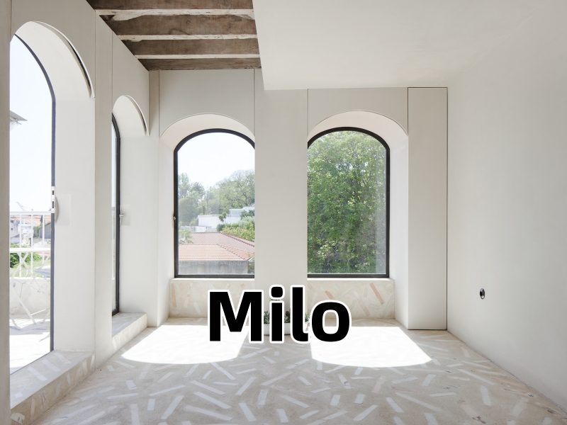 Pros and Cons of Terrazzo Flooring